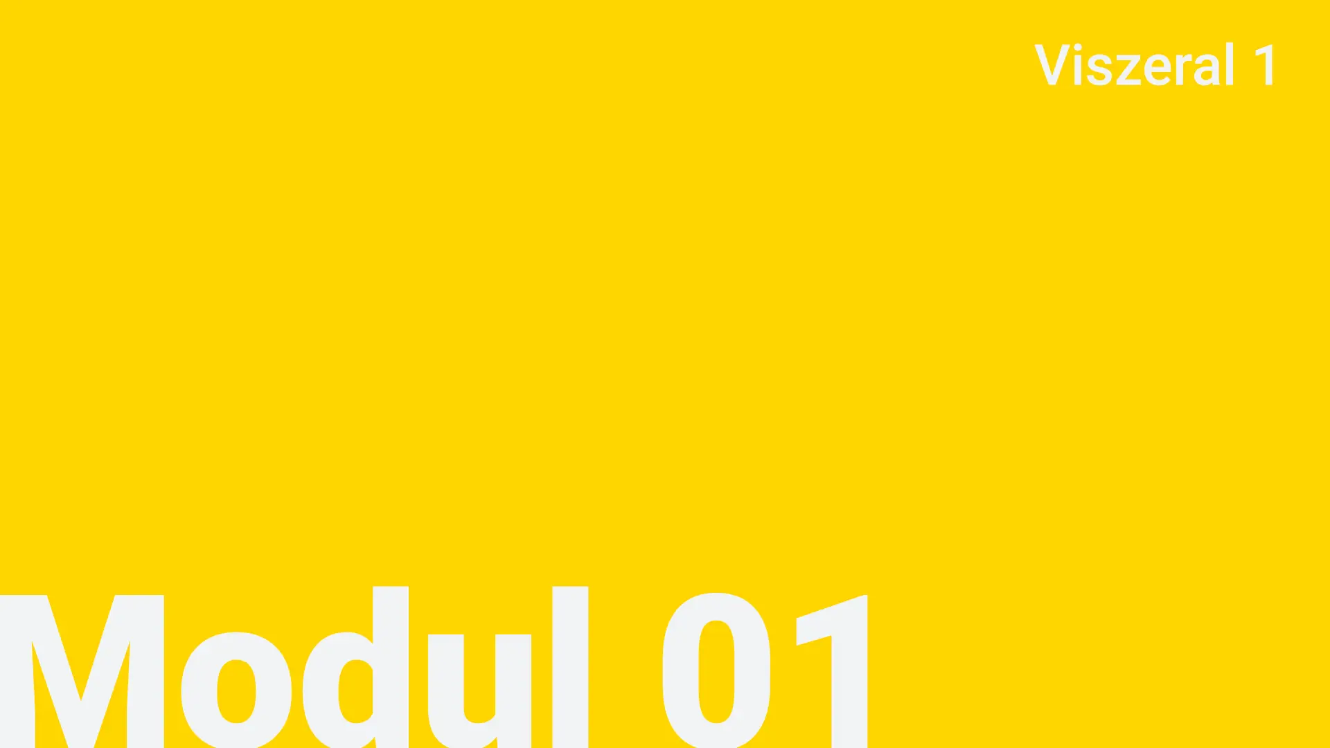 Modul 01 - Viszeral 1