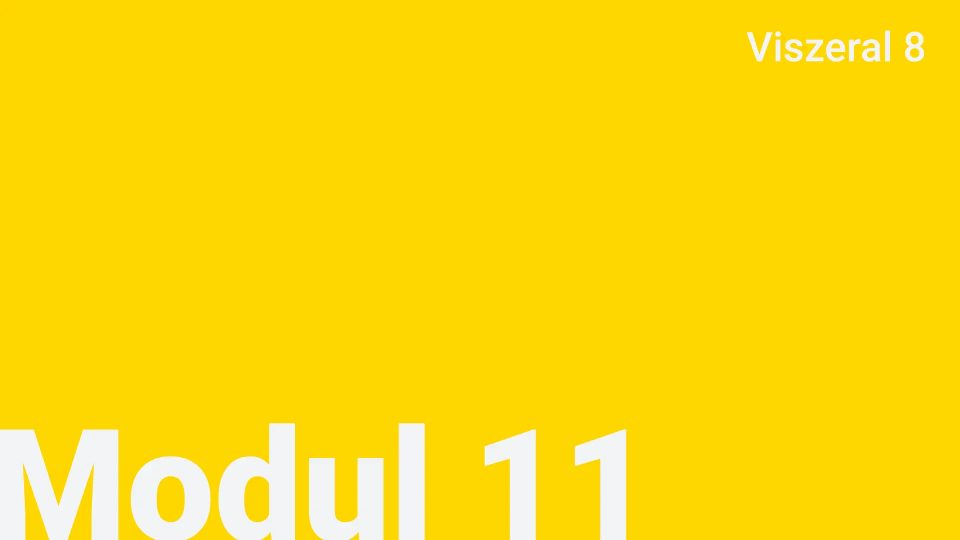 Modul 11 - Viszeral 8