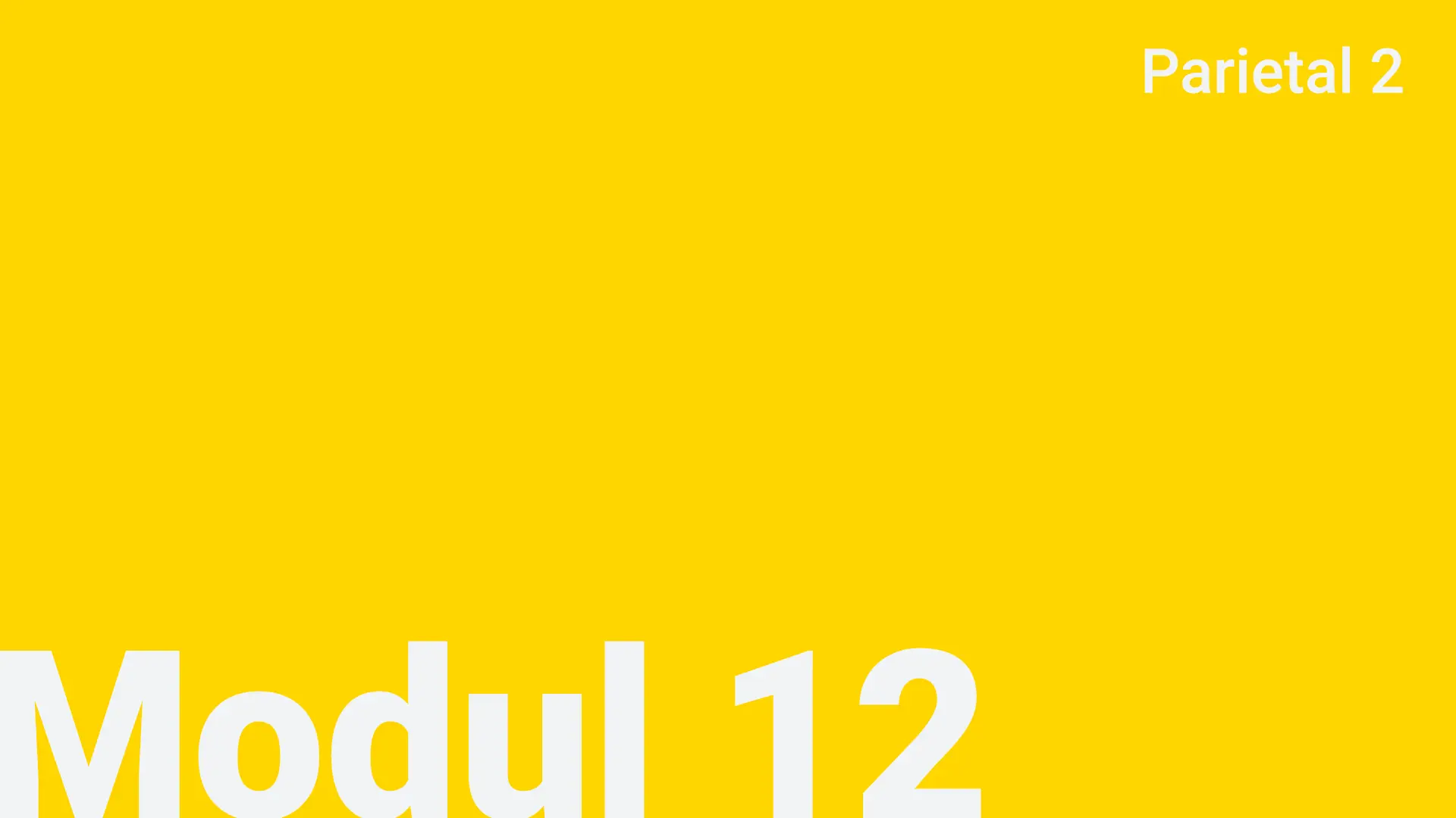 Modul 12 - Parietal 2