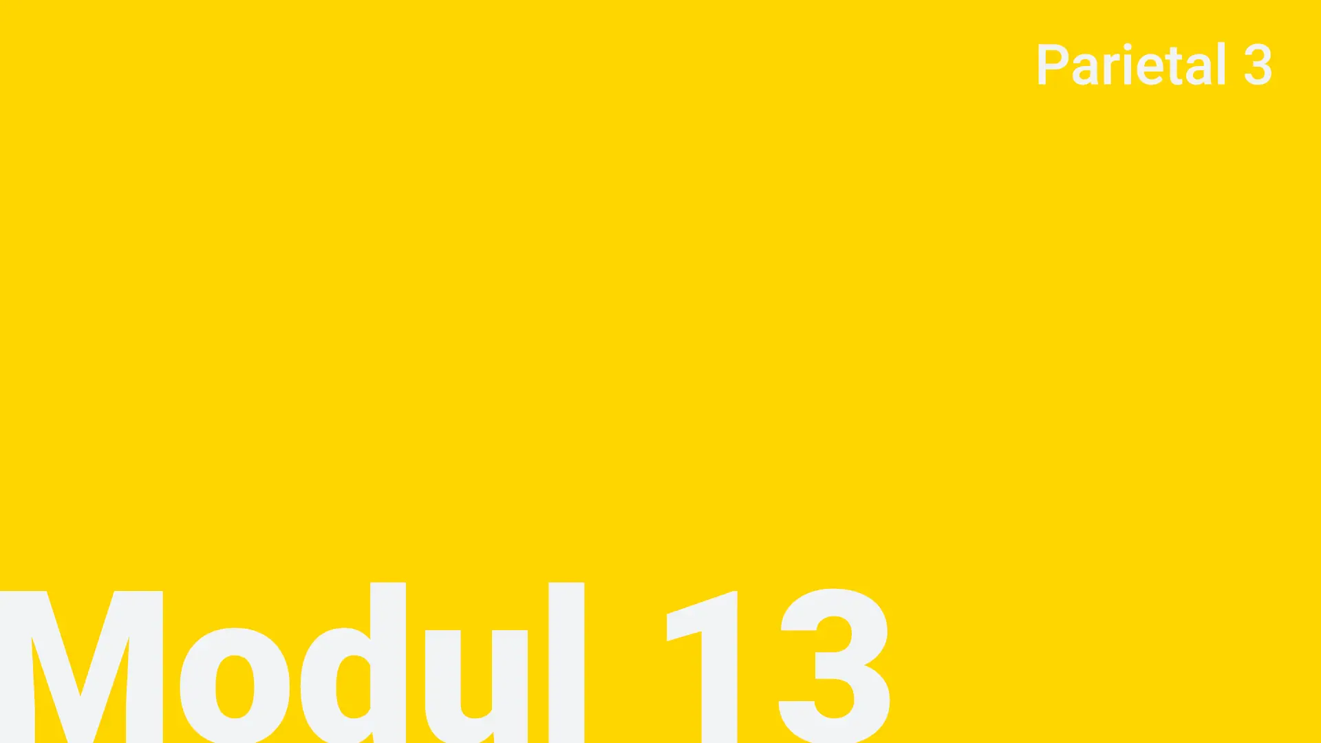 Modul 13 - Parietal 3
