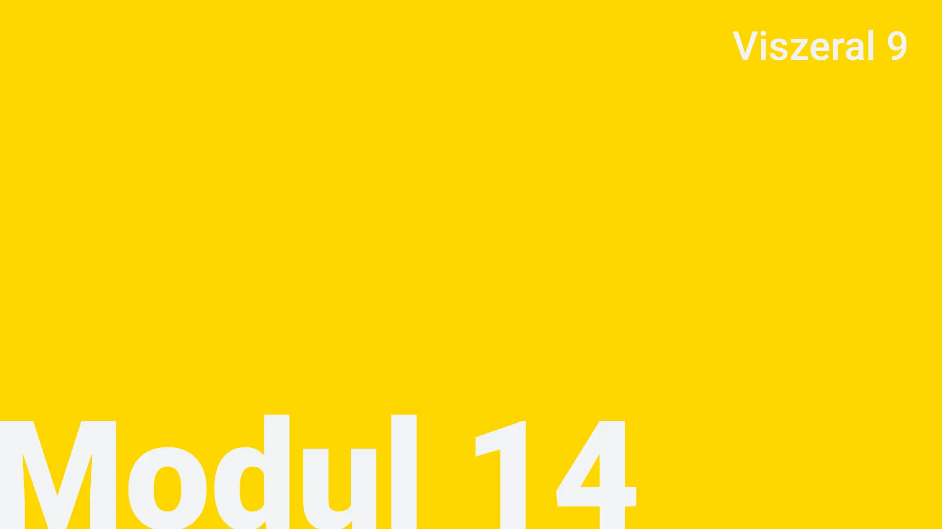 Modul 14 - Viszeral 9