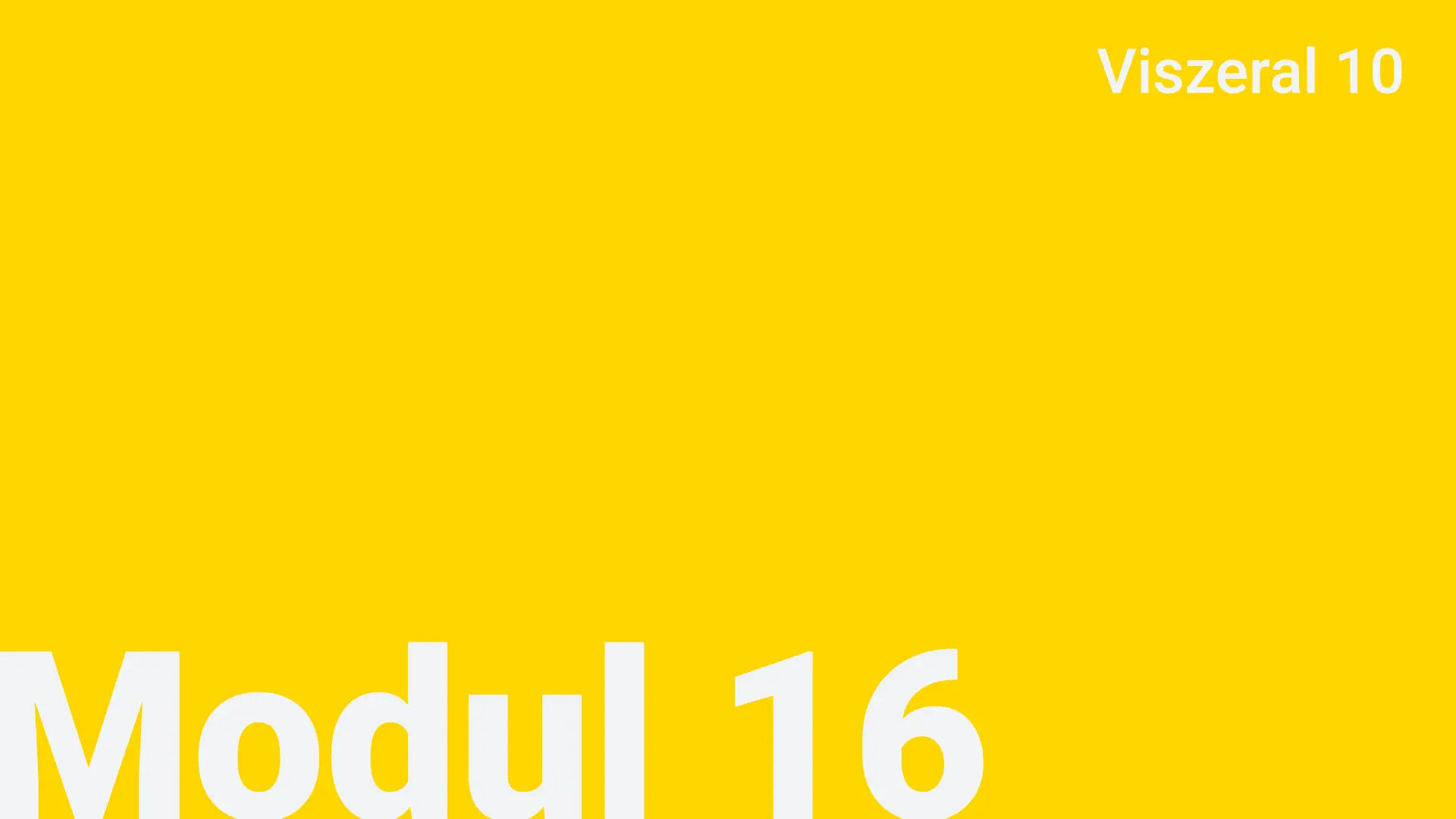 Modul 16 - Viszeral 10