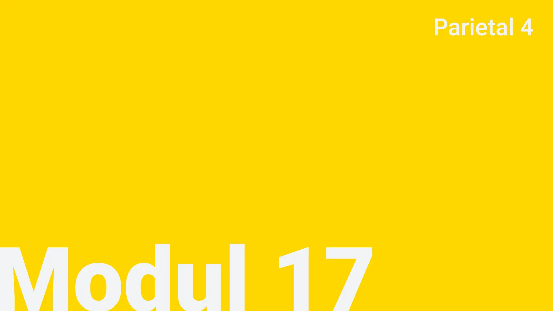 Modul 17 - Parietal 4
