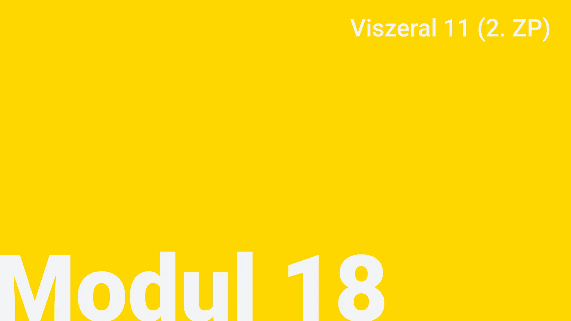 Modul 18 - Viszeral 11 (2. ZP)