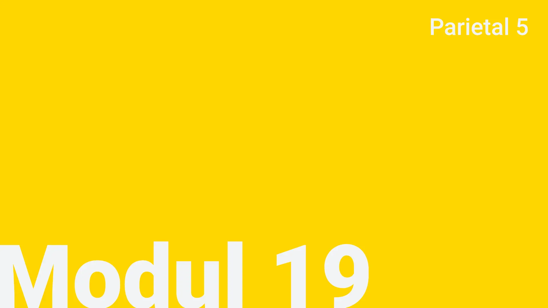Modul 19 - Parietal 5