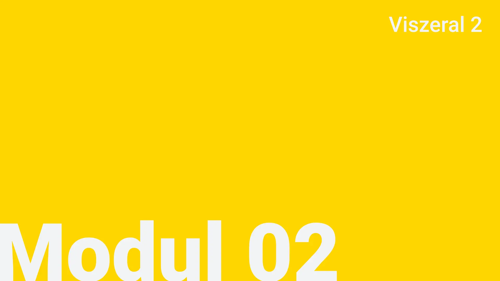 Modul 02 Viszeral 2