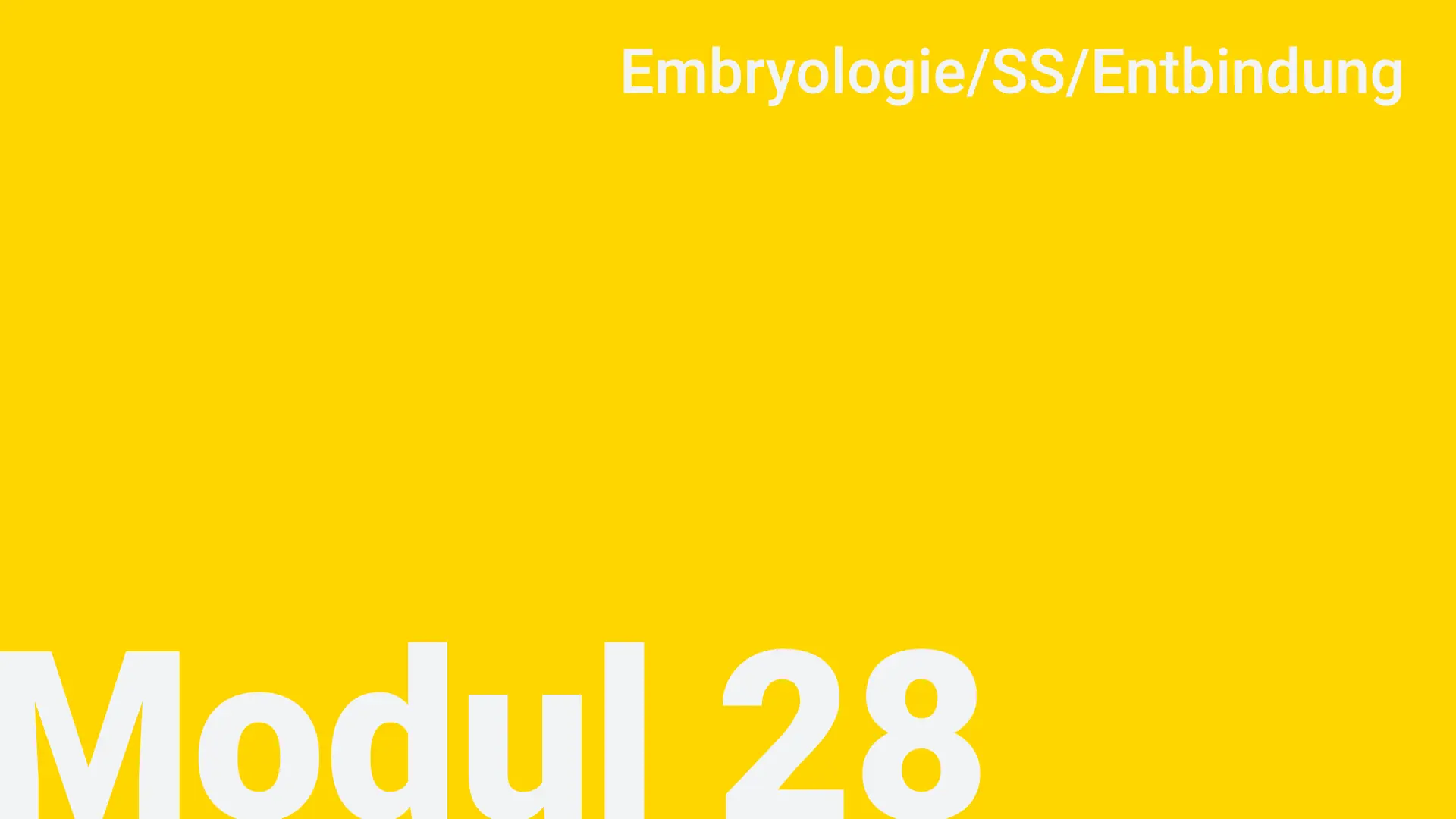 Modul 28 - Embryologie/SS/Entbindung 