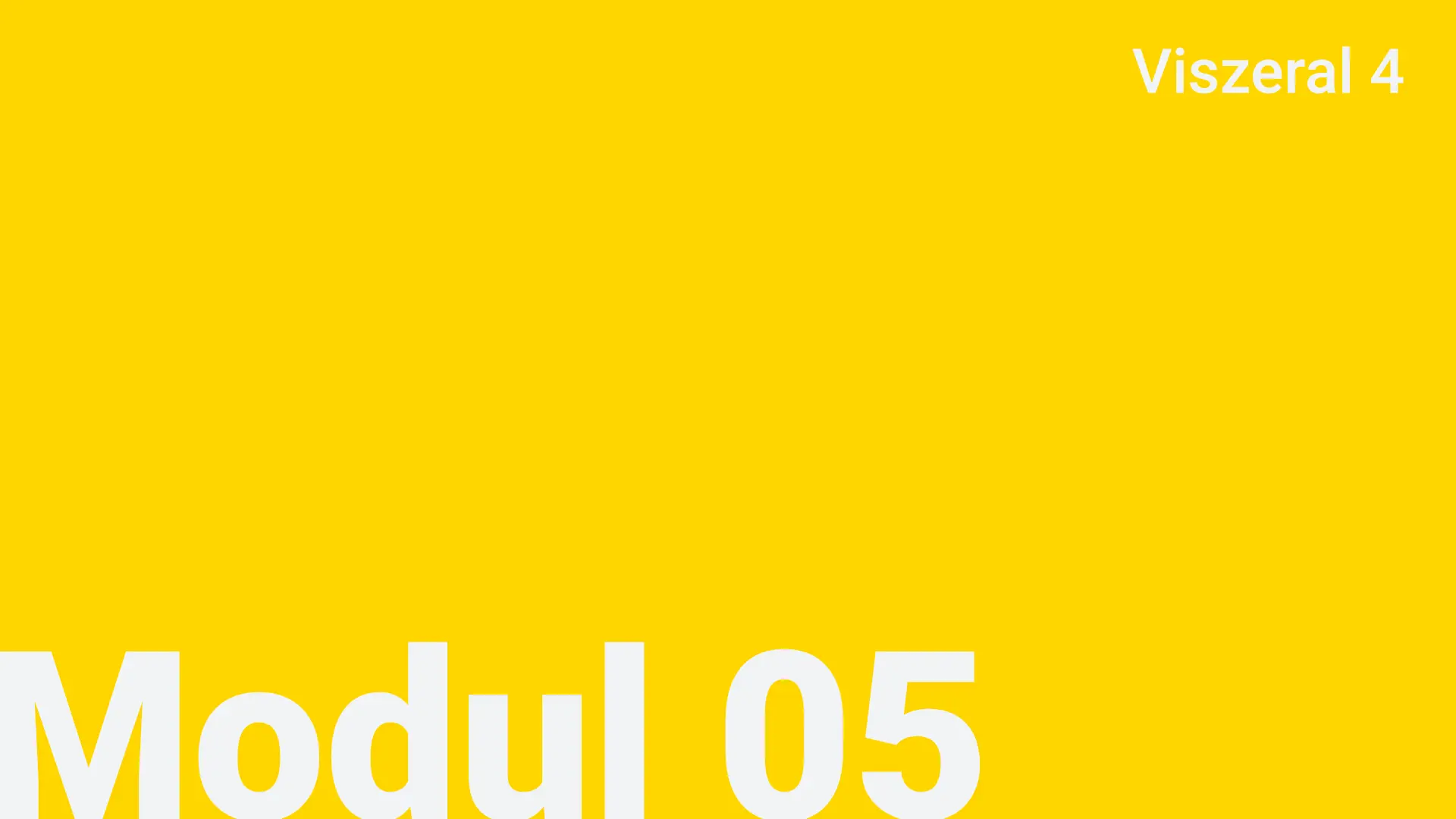 Modul 05 - Viszeral 4